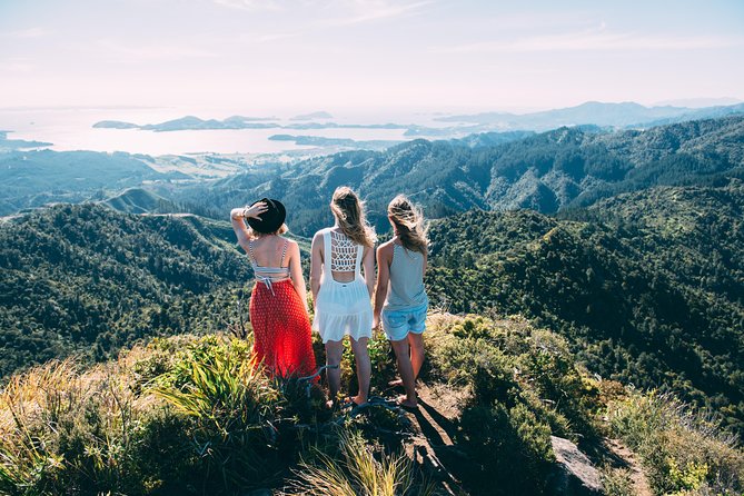5 Day Coromandel Explorer From Auckland (Must Be 21 for Car Rental) - Age and License Requirements