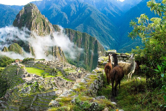 5-Day Cusco and Machu Picchu Tour - Tour Conditions