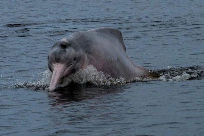 5-Day Cuyabeno Reserve Amazon Rainforest Trip - Accommodation and Meals