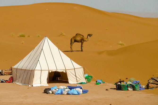 5-Day Desert Hiking Adventure From Merzouga - Frequently Asked Questions