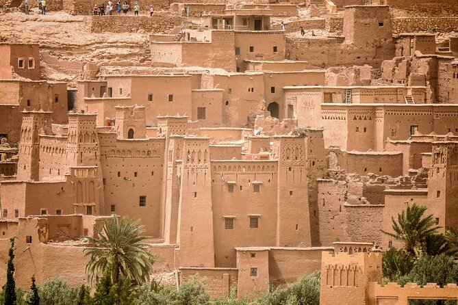 5-Day Desert Tour From Marrakech to Fes: Explore Majestic Sahara - Customer Reviews and Ratings