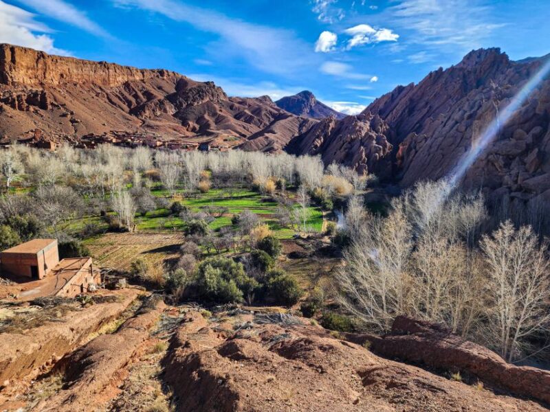 5 Day Excursion From Marrakech to Merzouga Desert - Accommodations and Meals