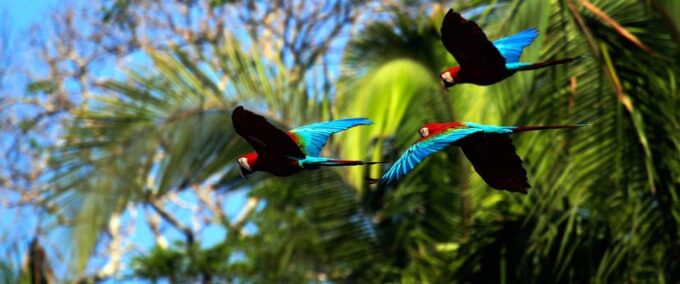 5-Day Excursion to Manu National Park - What to Expect in Manu