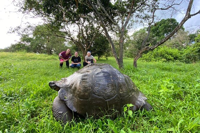 5-Day Galapagos Luxury: Santa Cruz, Isabela, With Local Flight and Snorkeling - Key Points