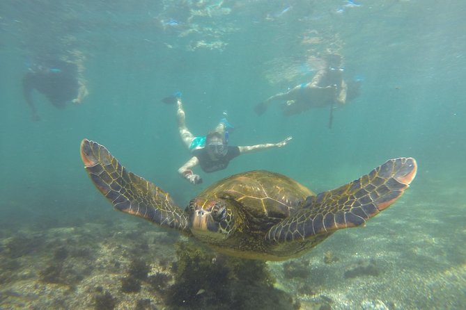 5-Day Galapagos Luxury: Santa Cruz, Isabela, With Local Flight and Snorkeling - Galapagos National Park Entrance