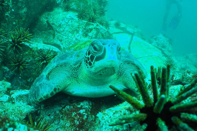 5-Day Galapagos Luxury: Santa Cruz, Isabela, With Local Flight and Snorkeling - Booking and Cancellation Policy