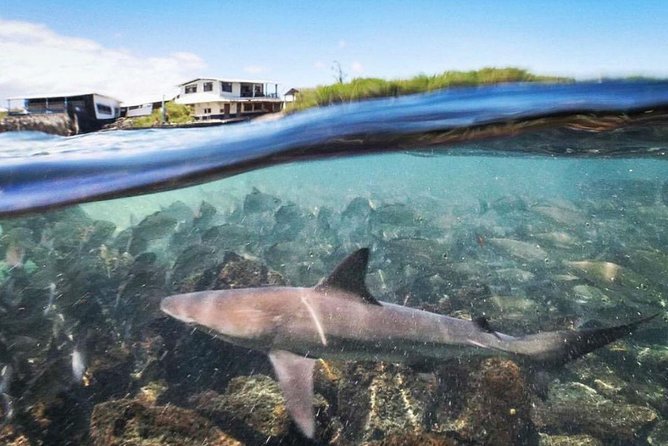 5-day Galapagos on a Budget Experience - Highlights of the Itinerary