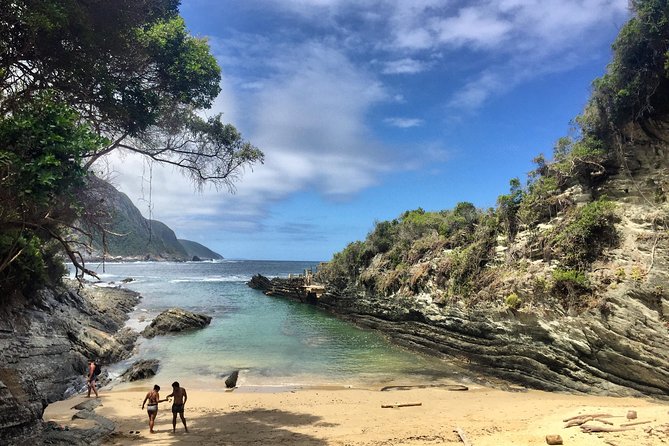 5-Day Garden Route & Addo Adventure From Cape Town to Port Elizabeth - Encounter With African Penguins at Betties Bay