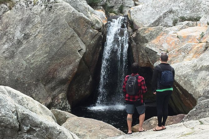 5-Day Garden Route & Addo Adventure From Cape Town to Port Elizabeth - Accommodation and Meals