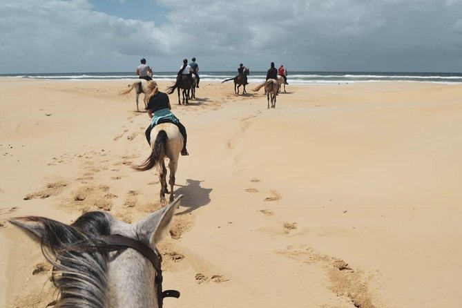 5 Day Garden Route and Addo Safari - Best of South Africa Small Group Tour - Policies