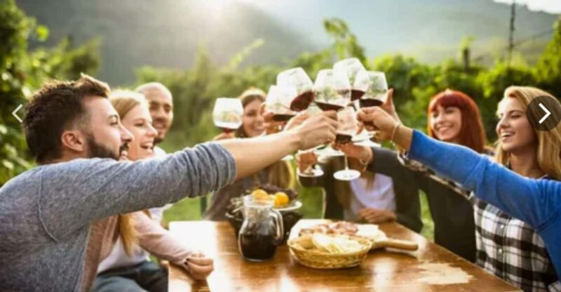 5 Day Garden Route Private Safari From Cape Town - Key Points