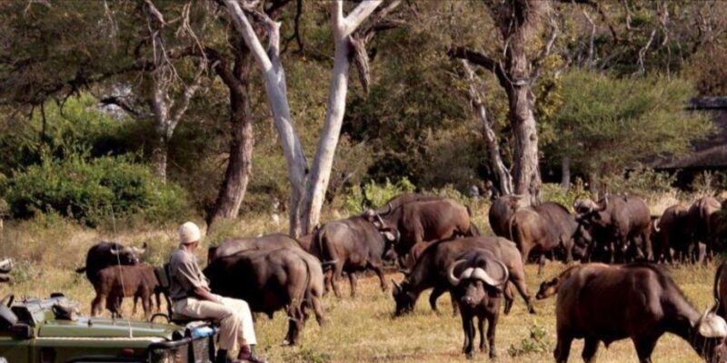 5 Day Garden Route Private Safari From Cape Town - Key Points