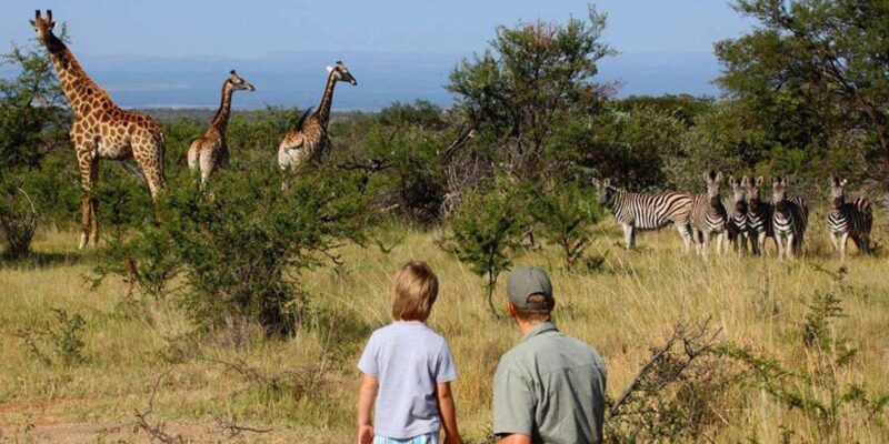 5 Day Garden Route Private Safari From Cape Town - Accessibility and Group Size