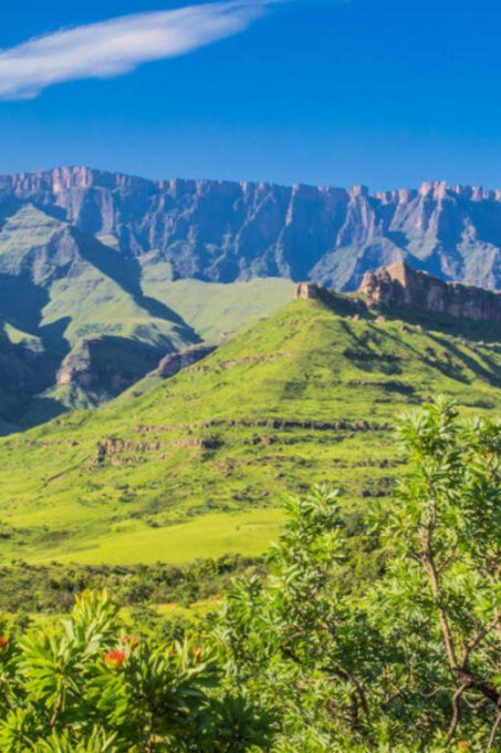 5 Day Garden Route Private Safari From Cape Town - Frequently Asked Questions