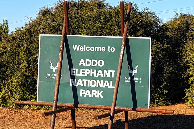 5 Day Garden Route Tour - Port Elizabeth to Cape Town - Highlight Activities