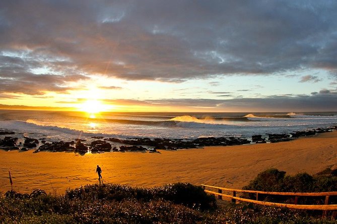 5 Day Garden Route Tour - Port Elizabeth to Cape Town - Scenic Drives and Whale Watching