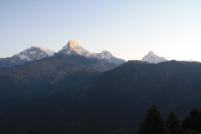 5-Day Ghorepani Poon Hill Trek in Annapurna Region - Highlights of the Annapurna Region