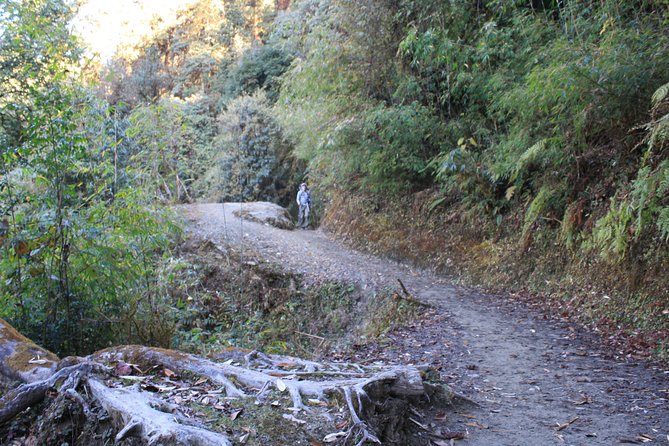 5-Day Ghorepani Poon Hill Trek in Annapurna Region - About the Tour Operator