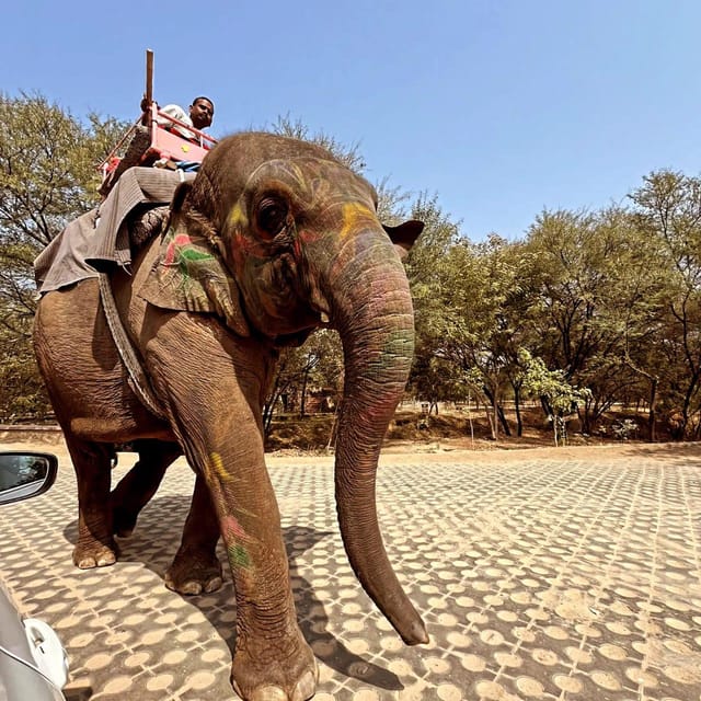 5-Day Golden Triangle With Jim Corbett National Park Safari - Arrival and Exploration in New Delhi