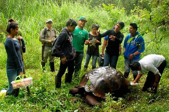 5-Day Guided Galapagos & Los Tuneles Tour - Accommodation Details