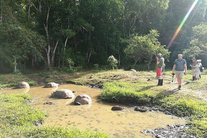 5-Day Guided Galapagos & Los Tuneles Tour - Itinerary Changes