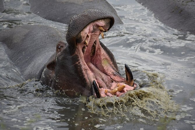 5-Day Highlights Mid-Range Crater, Serengeti, Tarangire - Meals and Gratuities