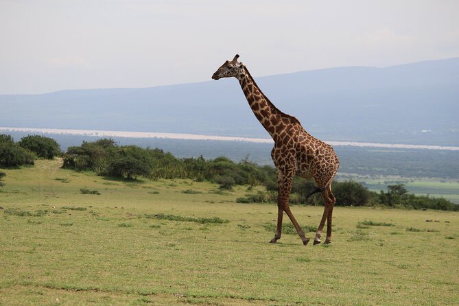 5-Day Highlights Mid-Range Crater, Serengeti, Tarangire - Practical Information