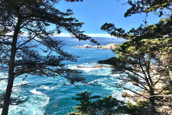 5-Day in Depth San Francisco Tour With Unique Experiences - Tour Group Size