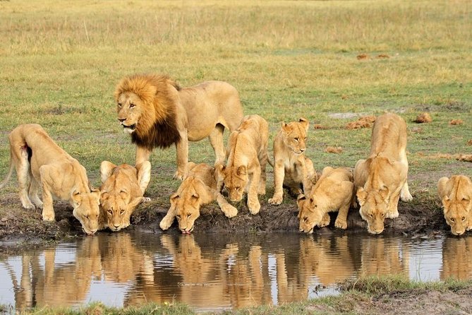 5 Day Join Group Serengeti, Ngorongoro, Tarangire, Lake Manyara - Serengeti National Park