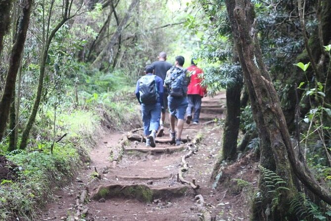 5-Day Kilimanjaro Hiking Tour | Climb Kilimanjaro - Marangu Route - Activity Details