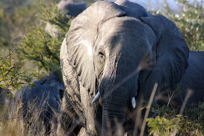 5 Day Kruger National Park Tour - Included Experiences