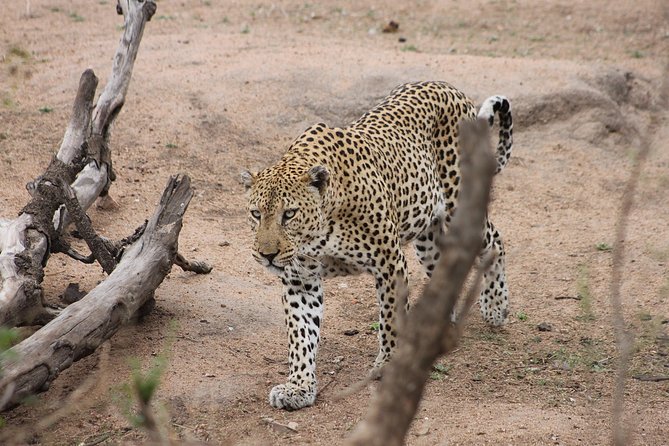 5 Day Kruger National Park Tour - Accommodation and Meals