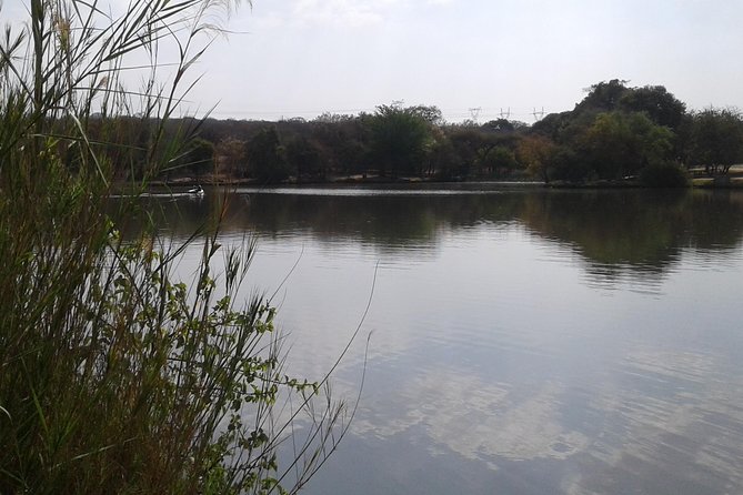 5 Day Kruger National Park Tour - Traveler Feedback