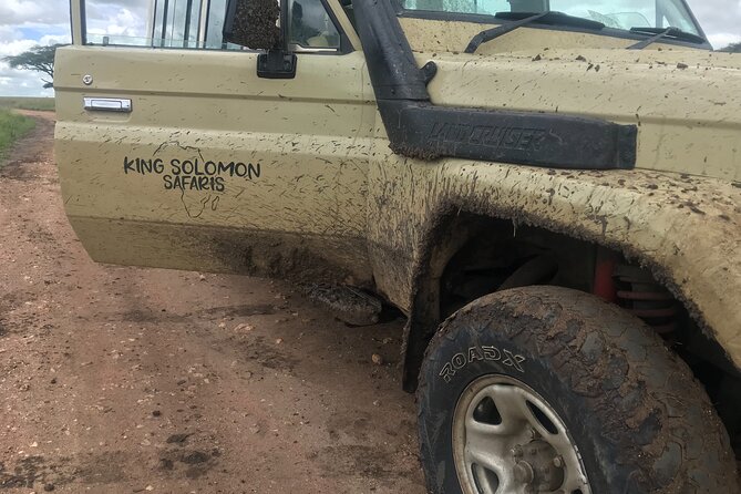 5-Day Lake Manyara, Serengeti, Ngorongoro Crater and Tarangire - Traversing Tarangire National Park