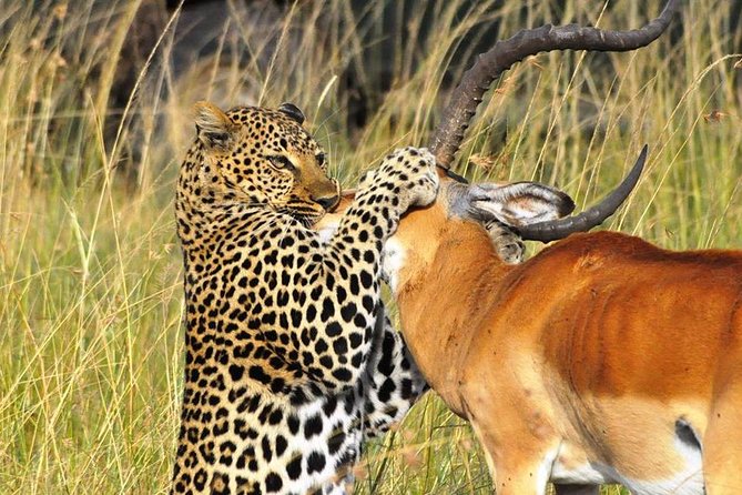 5-Day Lakes and Masai Mara Plains 4 X 4 Safari - Included and Excluded Items