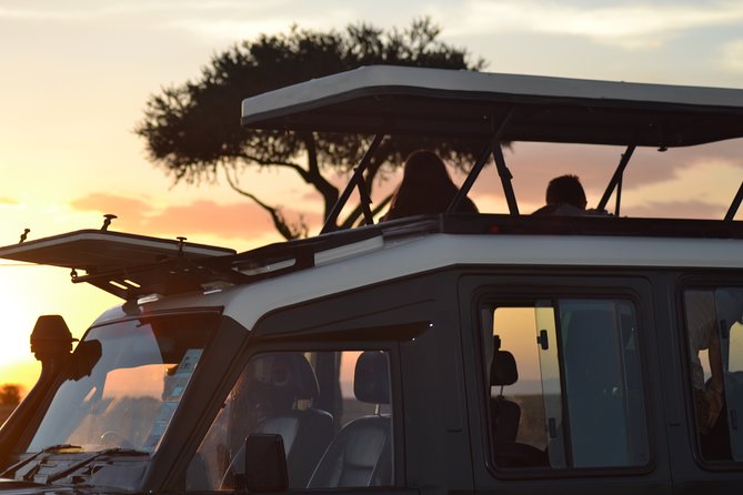 5-Day Maasai Mara and Ol Pejeta Conservancy Guided Safari - Traveler Information
