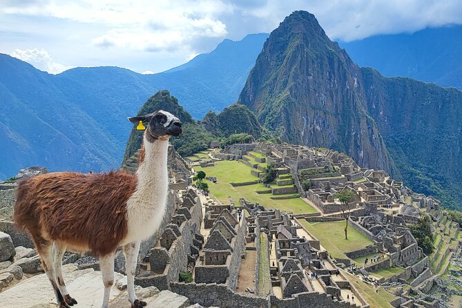 5-Day Machu Picchu Private Guided Historical and Cultural Tour - Itinerary Highlights