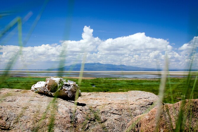 5-Day Majestic Tanzania Safari - High End All Inclusive - Accommodation and Dining