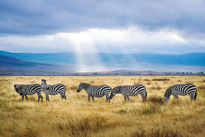5-Day Majestic Tanzania Safari - High End All Inclusive - Picturesque Landscapes