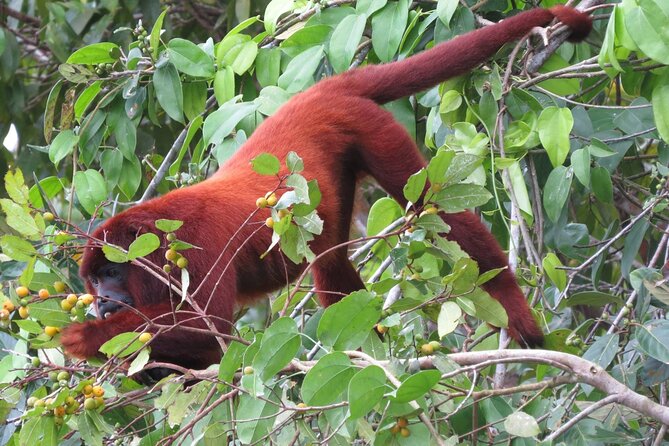 5-Day Manu Expedition . - Key Points
