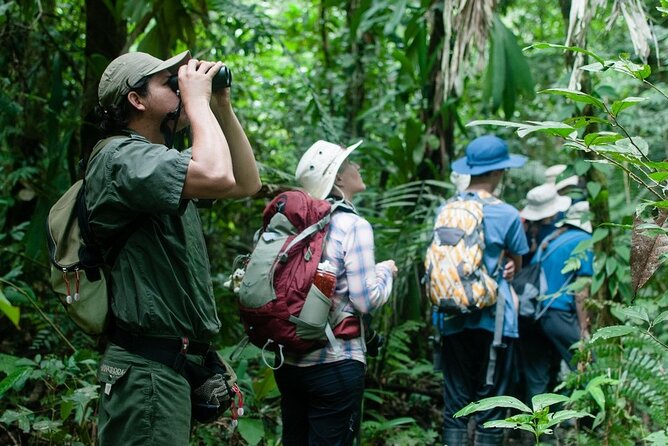 5-Day Manu Expedition . - Caiman Spotting in the Wild
