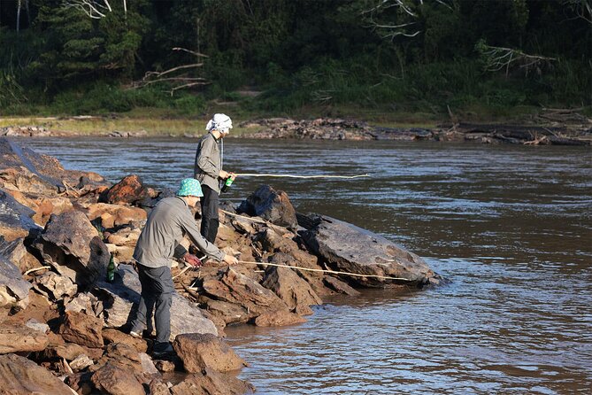 5-Day Manu Expedition . - Pricing and Reviews