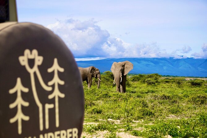 5-Day Mid-Range Safari in Tanzania - Accessibility and Health Information