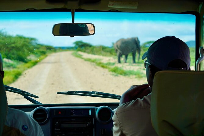 5-Day Mid-Range Safari in Tanzania - Safari Destinations