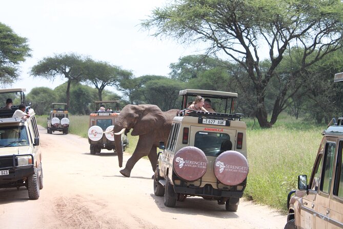 5 Day Mid Range Tanzania Safari - Daily Itinerary