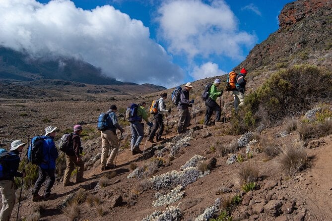 5 Day Mount Kilimanjaro Climbing via Marangu Route - Pricing and Booking Details
