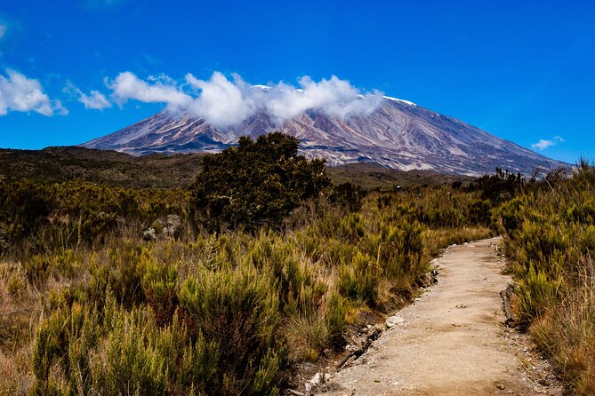 5 Day Mount Kilimanjaro Climbing via Marangu Route - Physical Fitness Requirements