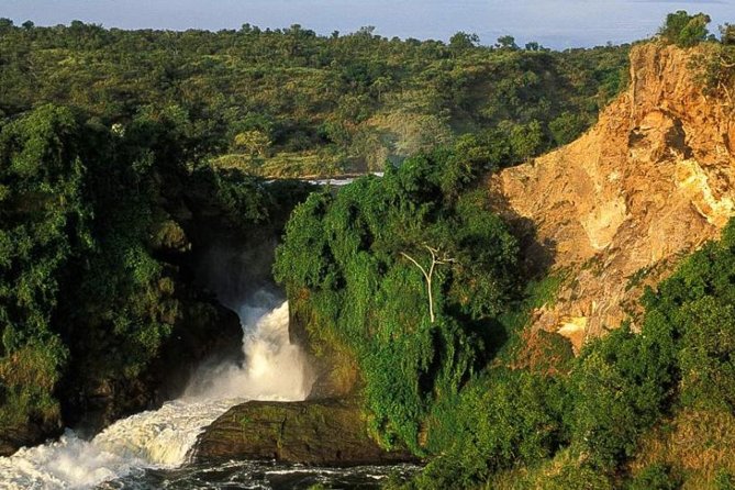 5-Day Murchison Falls, Budongo Chimps, Wildlife Big 5 Safari - Key Points