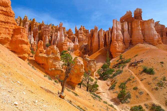 5-Day National Park Tour From Las Vegas - Meeting and Pickup Details