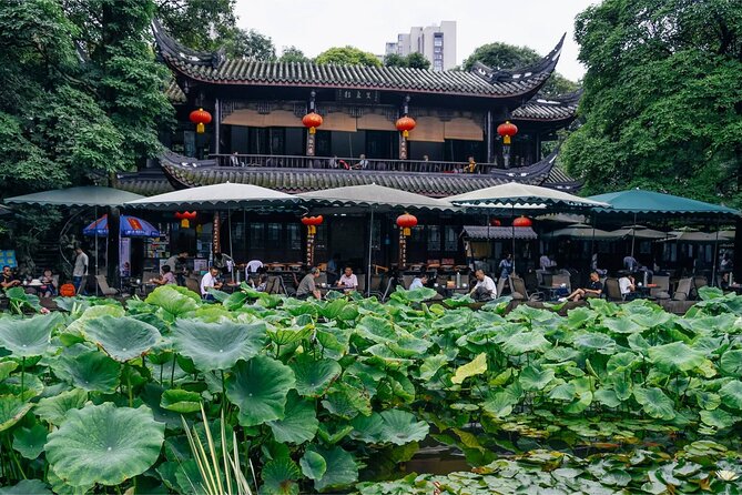 5 Day Natural Panda Paradise Tour in Chengdu - Pickup Information